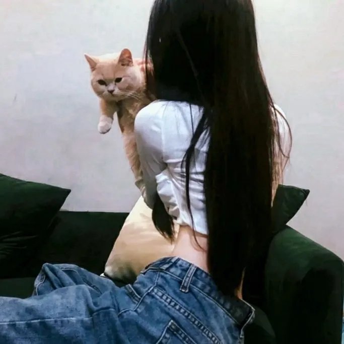 我的特务女友
